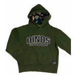 Zöld dínós pulcsi (116)