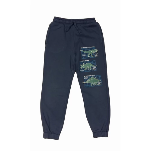 Dínós szabadidő nadrág (122)