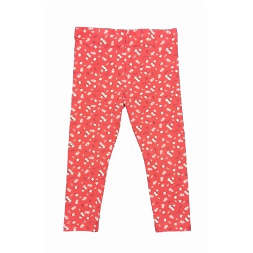 Kisvirágos leg (92)