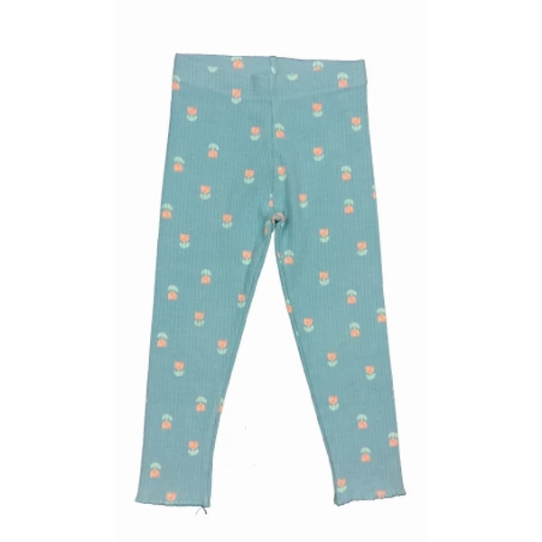 Kék tulipános leg (98)