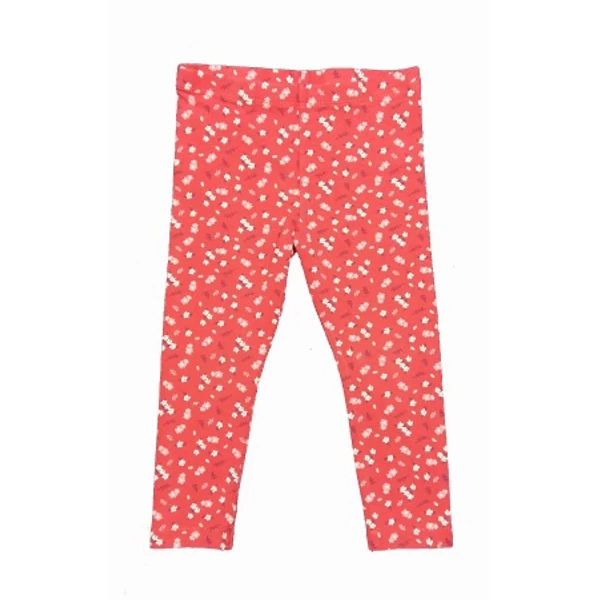 Kisvirágos leg (92)